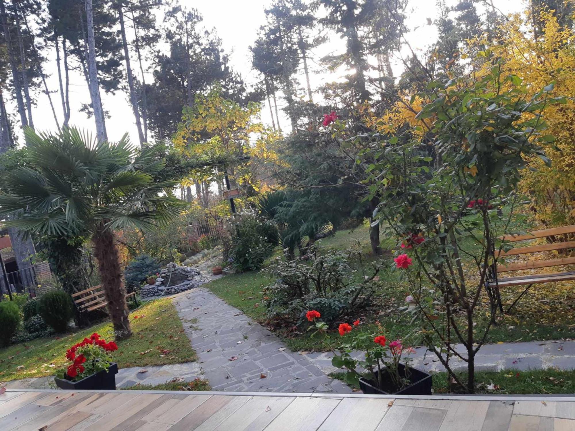 Neli & Zaal Guest House Telavi Eksteriør bilde
